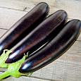 БАКЛАЖАН ДЛИННЫЙ ФИОЛЕТОВЫЙ