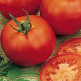 Томат Рассвет F1 Томат Рассвет F1