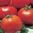 Томат Пламя Агро Томат Пламя Агро