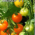 Томат (Помидор) обыкновенный Ликер F1 Оранжевый Томат (Помидор) обыкновенный Ликер F1 Оранжевый